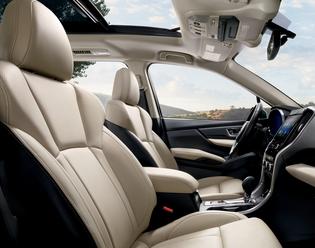 2019 Ascent Limited 2019 Ascent Limited