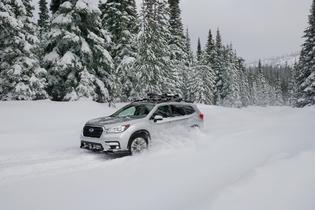2020 Subaru Ascent Limited 2020 Subaru Ascent Limited