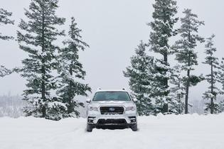 2020 Subaru Ascent Limited 2020 Subaru Ascent Limited