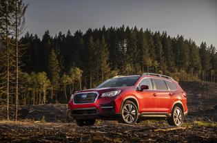 2019 Ascent Limited 2019 Ascent Limited