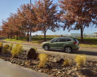 2020 Subaru Forester 2020 Subaru Forester