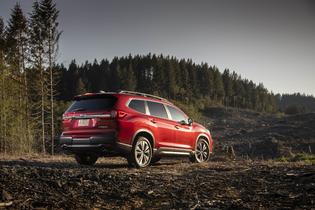 2019 Ascent Limited 2019 Ascent Limited