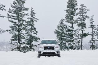 2019 Ascent Limited 2019 Ascent Limited