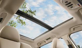 2019 Ascent Limited 2019 Ascent Limited