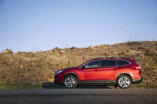 2019 Ascent Limited 2019 Ascent Limited