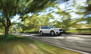 2019 Ascent Limited 2019 Ascent Limited