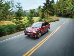 2019 Forester Limited 2019 Forester Limited