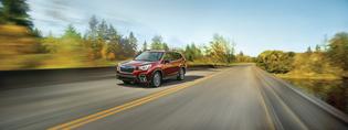 2019 Forester Limited 2019 Forester Limited