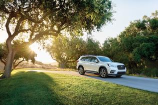 2019 Ascent Limited 2019 Ascent Limited