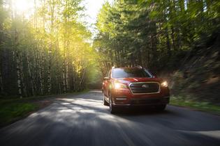 2019 Ascent Limited 2019 Ascent Limited