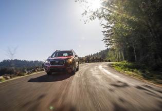 2019 Ascent Limited 2019 Ascent Limited