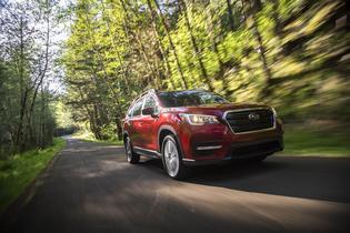 2019 Ascent Limited 2019 Ascent Limited