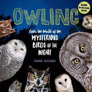 Middle Grades Science Book: Owling: Enter the World of Mysterious Birds of the Night, by Mark Wilson. Middle Grades Science Book: Owling: Enter the World of Mysterious Birds of the Night, by Mark Wilson.