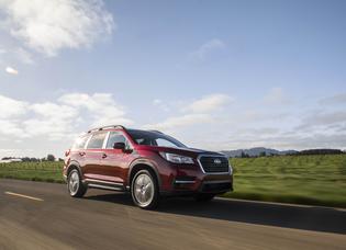 2019 Ascent Limited 2019 Ascent Limited