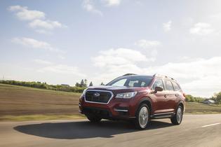 2019 Ascent Limited 2019 Ascent Limited