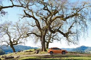 2020 Crosstrek 2020 Crosstrek