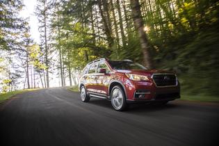 2019 Ascent Limited 2019 Ascent Limited
