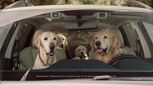 Subaru Dog Tested spot, “Car Wash” – See what happens when small dogs wash a big Subaru. Subaru Dog Tested spot, “Car Wash” – See what happens when small dogs wash a big Subaru.