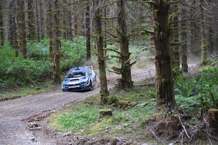 David Higgins drives his Subaru WRX STI through the forests of the Olympus Rally David Higgins drives his Subaru WRX STI through the forests of the Olympus Rally