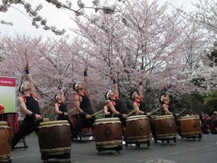 Subaru Cherry Blossom Festival - Philadelphia Subaru Cherry Blossom Festival - Philadelphia
