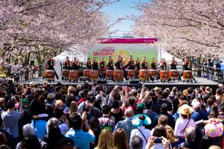 Subaru Cherry Blossom Festival - Philadelphia Subaru Cherry Blossom Festival - Philadelphia