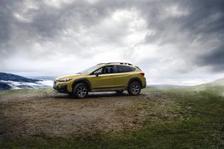 2021 Subaru Crosstrek 2021 Subaru Crosstrek