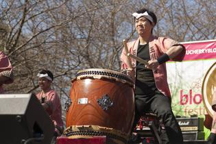 Subaru Cherry Blossom Festival - Philadelphia Subaru Cherry Blossom Festival - Philadelphia