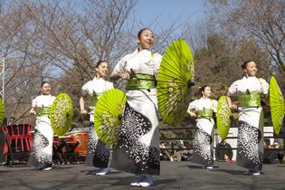 Subaru Cherry Blossom Festival - Philadelphia Subaru Cherry Blossom Festival - Philadelphia